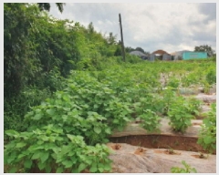  2025Ÿ��31576 ���� ������ ������ �ͷ渮 226      ����(��1)���