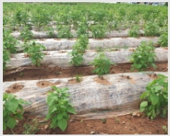  2025Ÿ��31576 ���� ������ ������ �ͷ渮 226      ����(��1)���