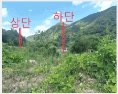  2025Ÿ��31606  �����