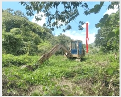  2025Ÿ��31606  �����