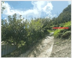  2025Ÿ��31606  �����