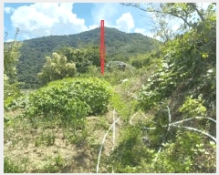  2025Ÿ��31606  �����