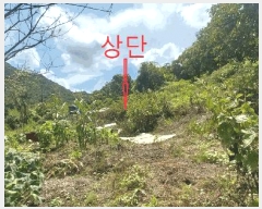  2025Ÿ��31606  �����