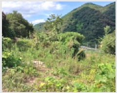  2025Ÿ��31606  �����