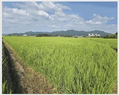  2025Ÿ��31611 ���� ���ֽ� ������ ��õ��1�� 605-4 �Ѿ����Ʈ 103�� 8��803ȣ   ����Ʈ���