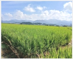  2025Ÿ��31611 ���� ���ֽ� ������ ��õ��1�� 605-4 �Ѿ����Ʈ 103�� 8��803ȣ   ����Ʈ���