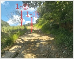  2025Ÿ��31624  �Ӿ߰��