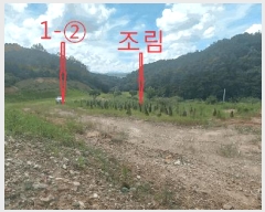  2025Ÿ��31624  �Ӿ߰��