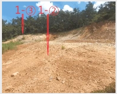  2025Ÿ��31624  �Ӿ߰��