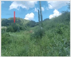  2025Ÿ��31624  �Ӿ߰��