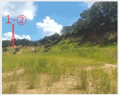  2025Ÿ��31624  �Ӿ߰��