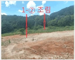  2025Ÿ��31624  �Ӿ߰��