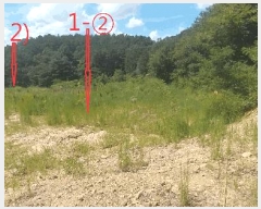  2025Ÿ��31624  �Ӿ߰��