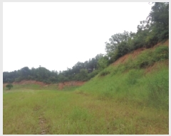  2025Ÿ��31624  �Ӿ߰��