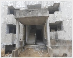  2025Ÿ��31631  ����Ʈ���