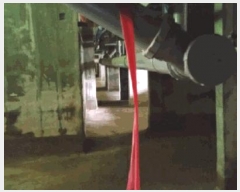  2025Ÿ��31631  ����Ʈ���