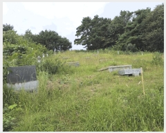  2025Ÿ��31662 ���� �ӽǱ� ����� ���ϸ� ��126      ����(�Ӿ�)���