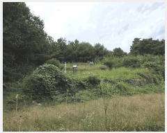  2025Ÿ��31662 ���� �ӽǱ� ����� ���ϸ� ��126      ����(�Ӿ�)���