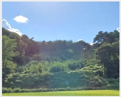  2025Ÿ��31662 ���� �ӽǱ� ����� ���ϸ� ��126      ����(�Ӿ�)���