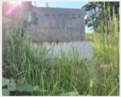  2025Ÿ��31662 ���� �ӽǱ� ����� ���ϸ� ��126      ����(�Ӿ�)���