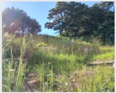  2025Ÿ��31662 ���� �ӽǱ� ����� ���ϸ� ��126      ����(�Ӿ�)���