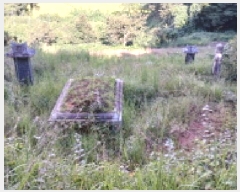  2025Ÿ��31662 ���� �ӽǱ� ����� ���ϸ� ��126      ����(�Ӿ�)���