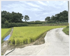  2025Ÿ��31672  ����