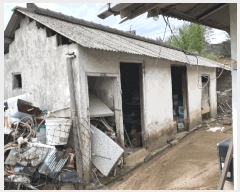  2025Ÿ��31672  ����