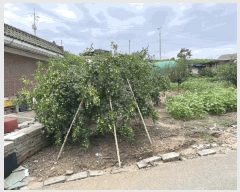  2025Ÿ��31672  ����