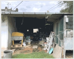  2025Ÿ��31672  ����