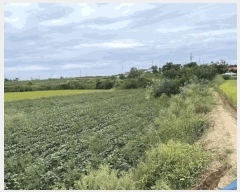  2025Ÿ��31672  ����