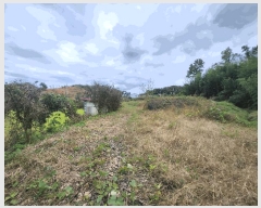  2025Ÿ��31747  ����