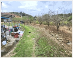  2025Ÿ��31747  ����