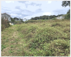  2025Ÿ��31747  ����