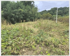  2025Ÿ��31747  ����