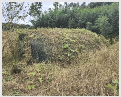  2025Ÿ��31747  ����