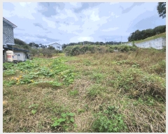  2025Ÿ��31747  ����