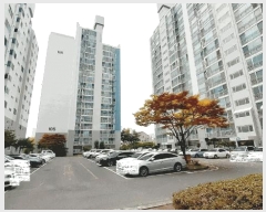  2025Ÿ��31814  ����Ʈ���