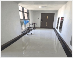  2025Ÿ��32031 ���� ���ֽ� �ϻ걸 ȿ�ڵ�2�� 1383 ����ȿõ��������忡����ũ 114�� 20��2001ȣ   ����Ʈ���