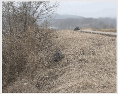  2025Ÿ��32111 ���� ���ȱ� ������ �ݿ��� 1094-4      ����(��1)���
