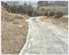  2025Ÿ��32111 ���� ���ȱ� ������ �ݿ��� 1094-4      ����(��1)���