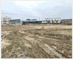  2025Ÿ��564 ���� ���ֽ� ������ ���ǵ� 787-2      ����(��)���