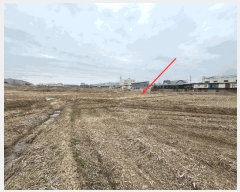  2025Ÿ��564 ���� ���ֽ� ������ ���ǵ� 787-2      ����(��)���