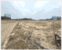  2025Ÿ��564 ���� ���ֽ� ������ ���ǵ� 787-2      ����(��)���