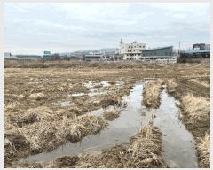  2025Ÿ��564 ���� ���ֽ� ������ ���ǵ� 787-2      ����(��)���