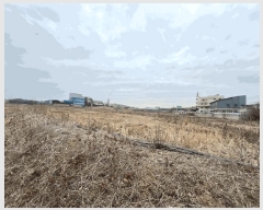  2025Ÿ��564 ���� ���ֽ� ������ ���ǵ� 787-2      ����(��)���