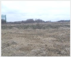  2025Ÿ��564 ���� ���ֽ� ������ ���ǵ� 787-2      ����(��)���