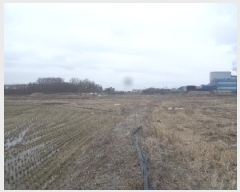  2025Ÿ��564 ���� ���ֽ� ������ ���ǵ� 787-2      ����(��)���