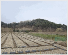  2025Ÿ603  ֱ Ҿ Ȳ 83      (Ӿ)