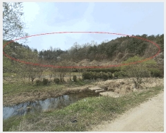  2025Ÿ603  ֱ Ҿ Ȳ 83      (Ӿ)